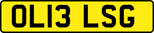 OL13LSG