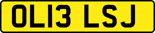 OL13LSJ
