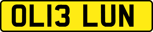 OL13LUN