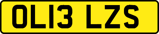 OL13LZS
