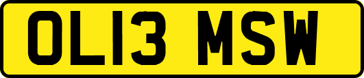OL13MSW