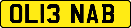 OL13NAB