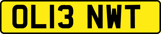 OL13NWT
