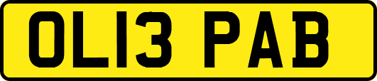 OL13PAB
