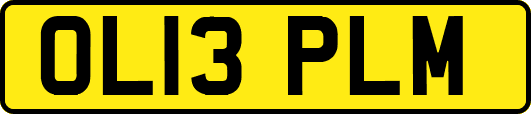 OL13PLM