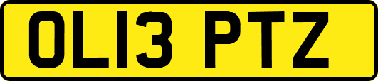 OL13PTZ