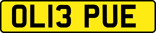 OL13PUE