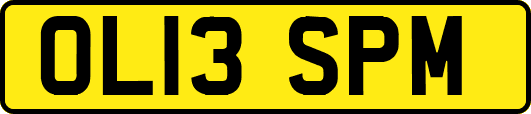 OL13SPM