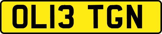 OL13TGN