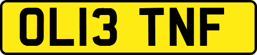 OL13TNF