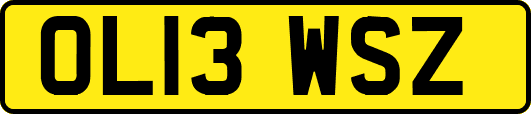 OL13WSZ