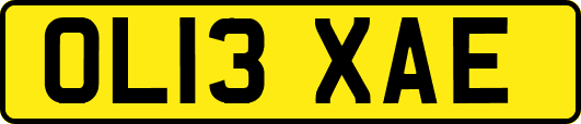 OL13XAE