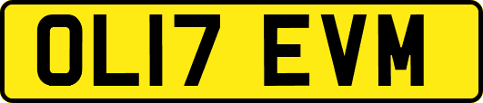 OL17EVM