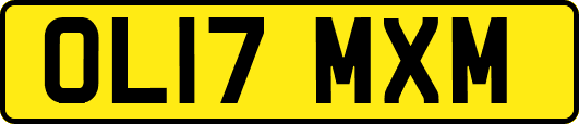 OL17MXM