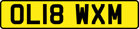 OL18WXM