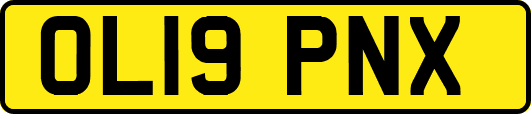 OL19PNX