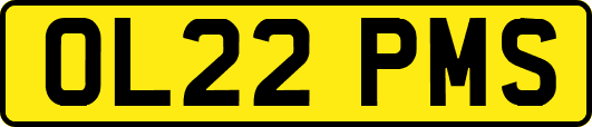 OL22PMS