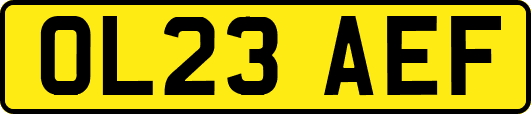 OL23AEF