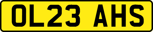 OL23AHS