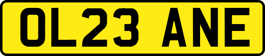 OL23ANE