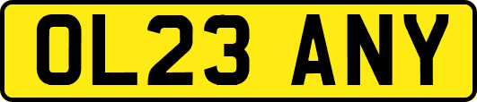 OL23ANY