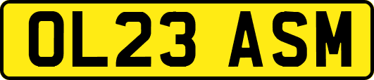 OL23ASM