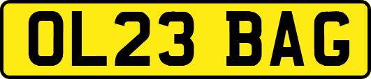 OL23BAG
