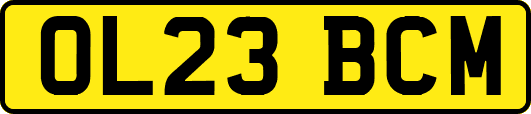 OL23BCM