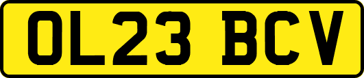 OL23BCV
