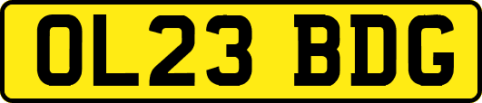 OL23BDG