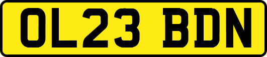 OL23BDN