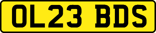 OL23BDS