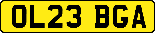 OL23BGA