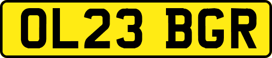 OL23BGR