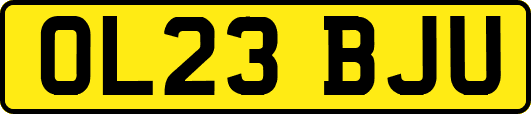 OL23BJU