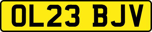 OL23BJV