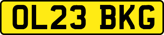 OL23BKG