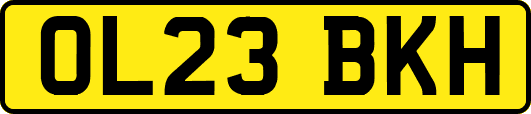 OL23BKH