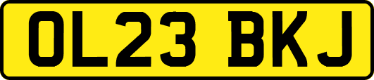 OL23BKJ