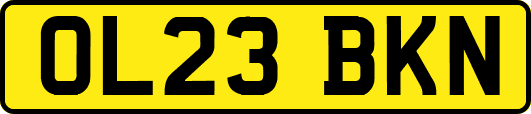 OL23BKN