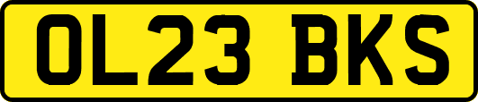 OL23BKS