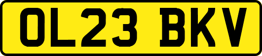 OL23BKV