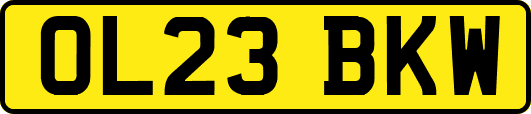 OL23BKW