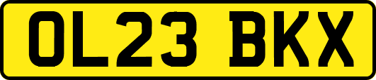 OL23BKX