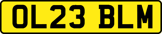 OL23BLM