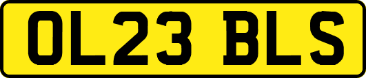 OL23BLS