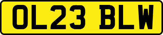 OL23BLW