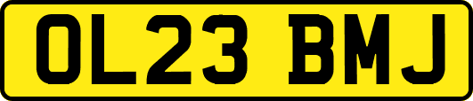 OL23BMJ