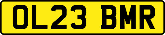 OL23BMR