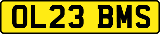 OL23BMS